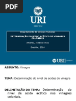 Sugestão Slides Apresentação proj.ppt