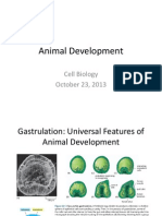 Animal Development: Cell Biology October 23, 2013