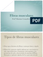 Fibras Musculares PDF