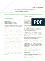 Informe - Engenharia Civil PUC 2014-1