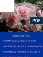 Crecimiento Facial