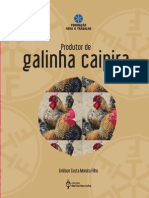 Produtor de Galinha Caipira