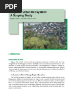 Baguio’s Urban Ecosystem
