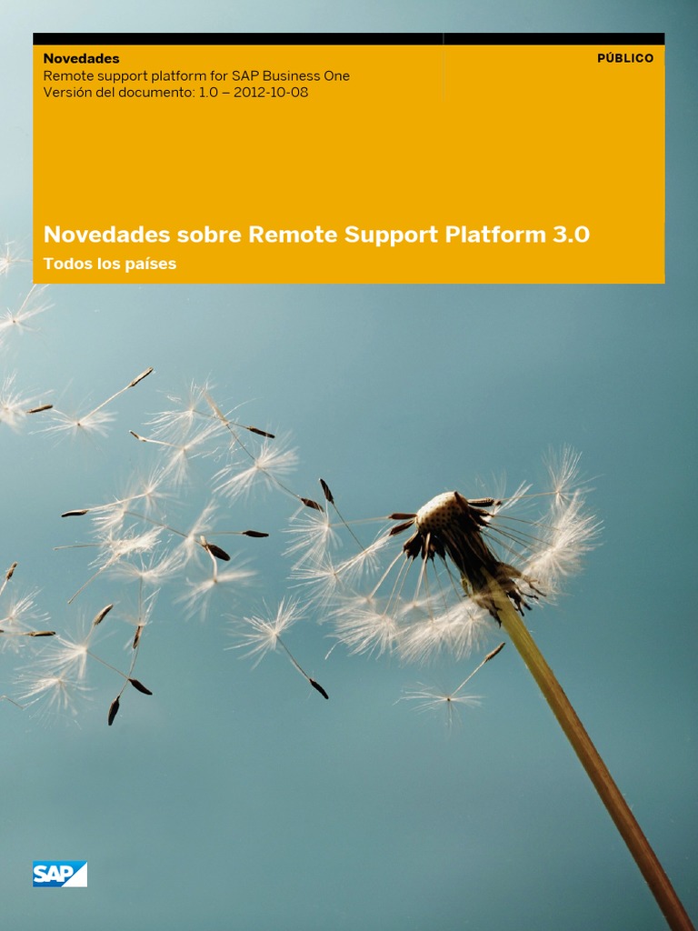 Remote Support Platform For SAP Business One | PDF | Sap Se | Microsoft