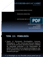 Introduccion Derecho Penal (Sustitutiva Temas 1314 y 15