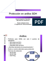 25-ProteccionAnillosSDH_1pp