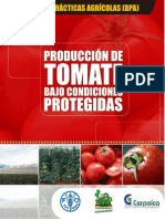 Manual Tomate Completo HD