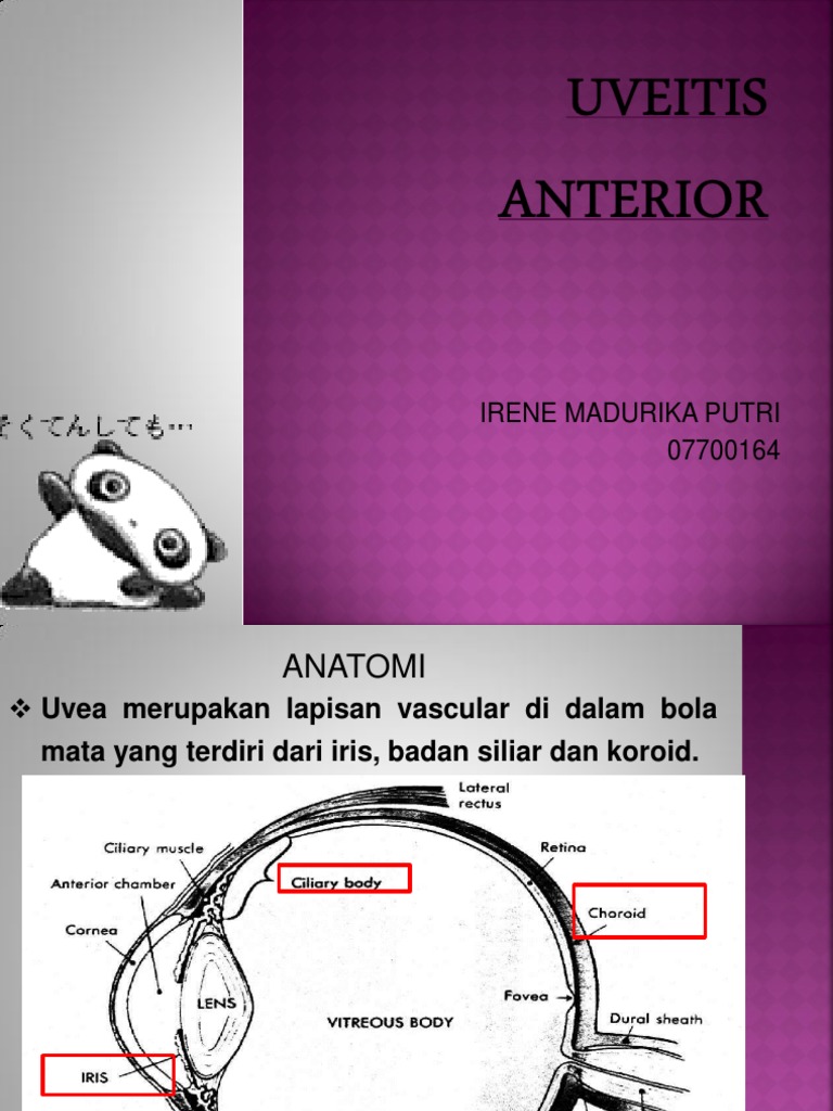 Uveitis Anterior: Diagnosis dan Terapi | PDF