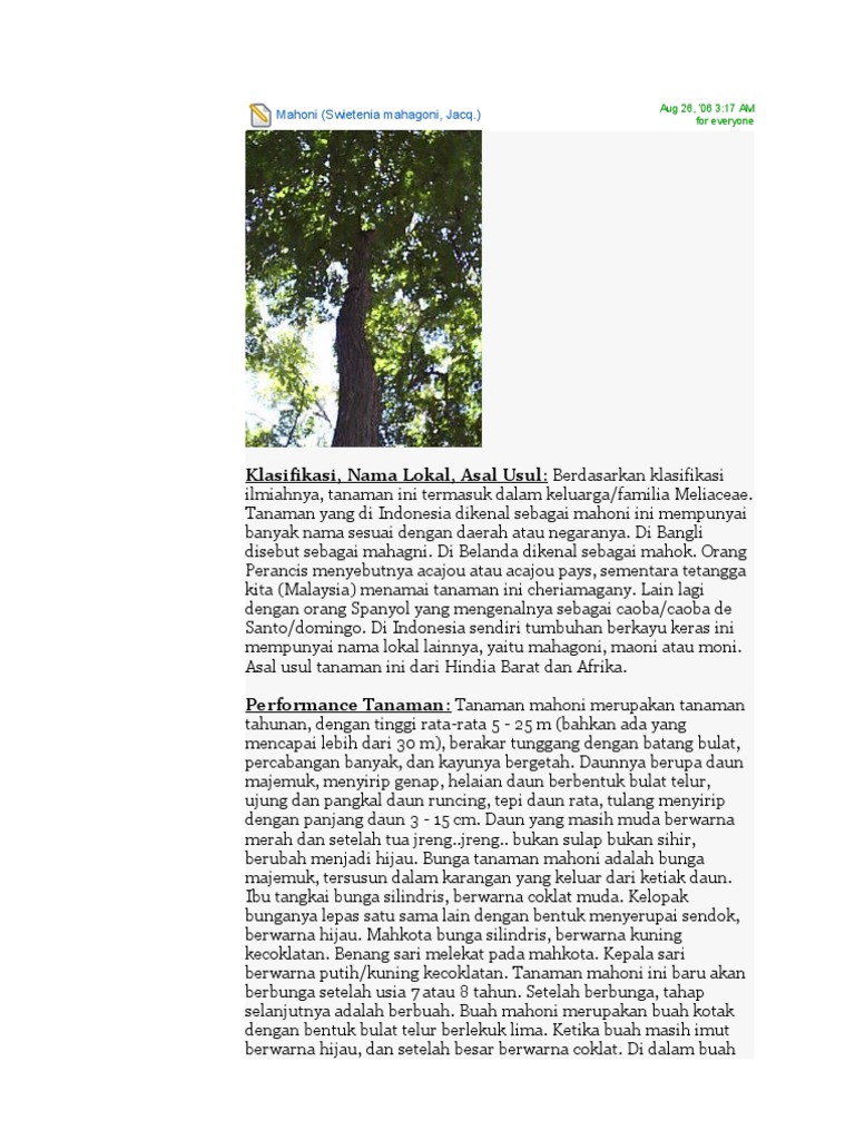 Mahoni Mahoni