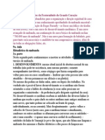 (2) Ritualística Da Umbanda 2a. Parte