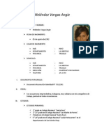 Curriculum Vitae Original