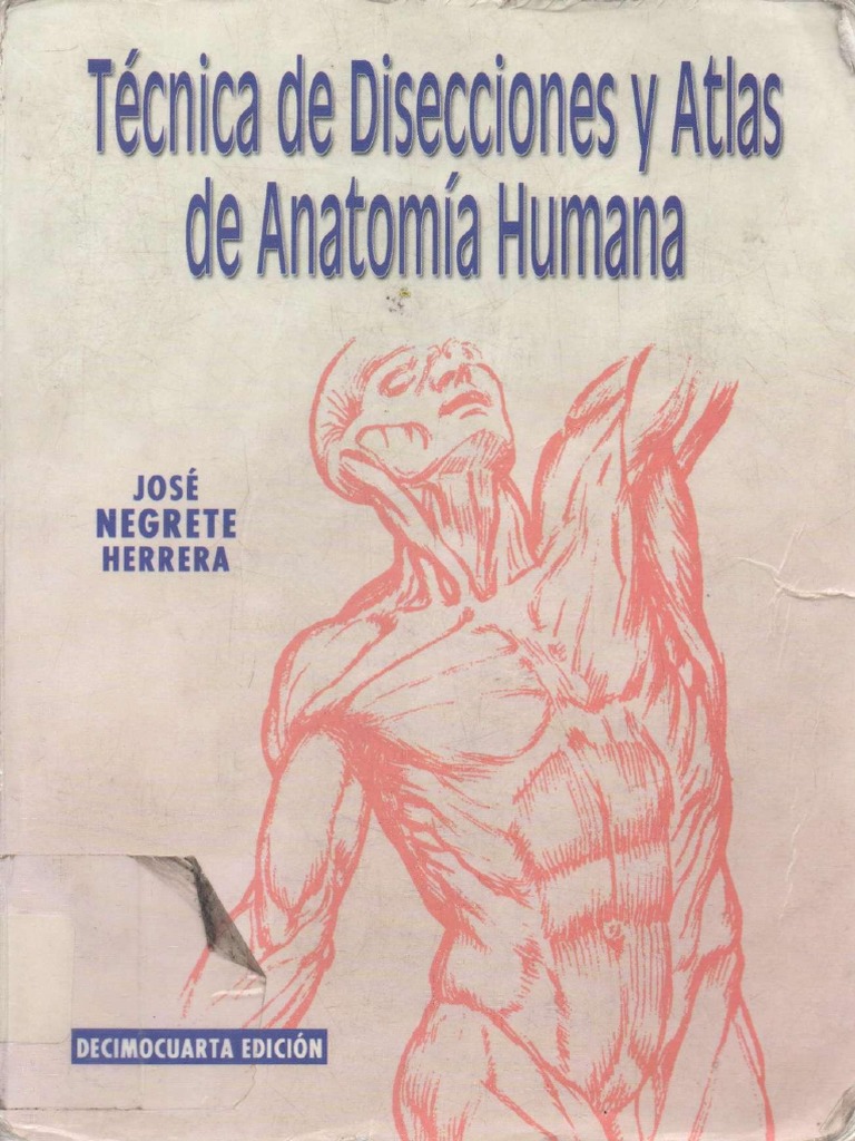 Tecnica de Disecciones y Atlas de Anatomia Humana | Codo ...