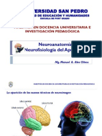 Neuroanatomia y Neurofisiologia Del Aprendizaje PDF