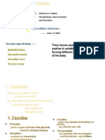 Class 02 (Epithelium)