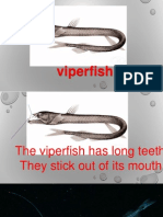Viperfish Text