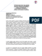 Unidad 3 Tema 10 - Dr. Alejandro Loza - Pruebas Funcionale Hepaticas Doc 2014