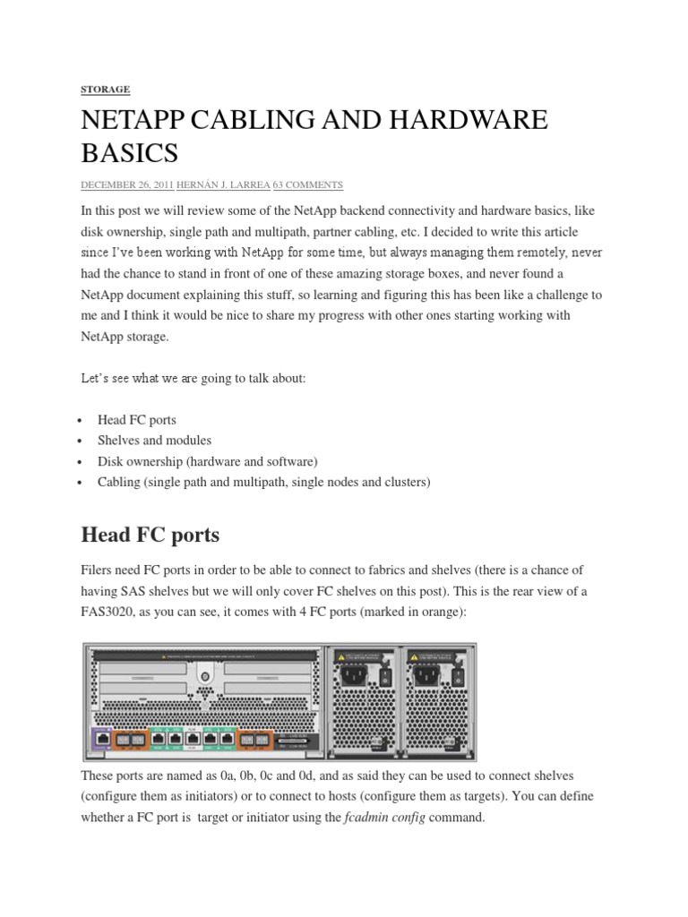 Netapp Cabling and Hardware Basics PDF Disk Storage Computer Data