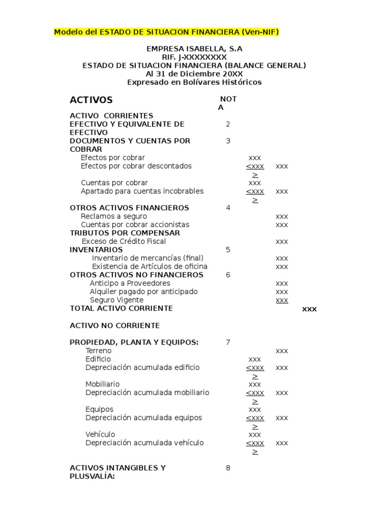 Modelo de Estado Financiero Ven-NIF | PDF | Contabilidad | Business