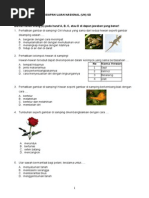 Prediksi 02 Soal UN IPA SD (Plus Kunci Pembahasan)