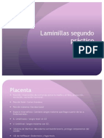 Laminillas 2