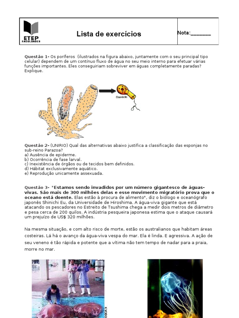 Avaliação Poriferos e Cnidarios | PDF | Coral | Esponja