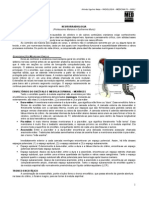 RADIOLOGIA 05 - Neurorradiologia - MED RESUMOS (JAN-2012).pdf