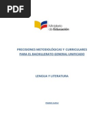 Precisiones Lengua y Literatura