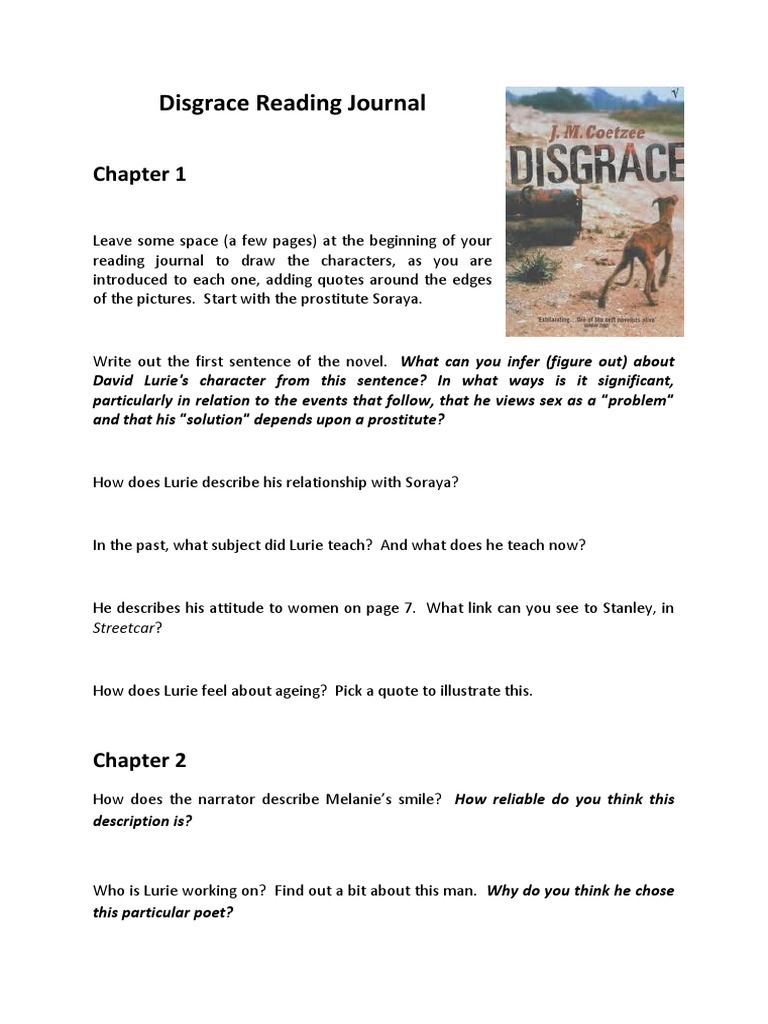 Disgrace Reading Journal Overview | PDF | Rape | Crime Thriller