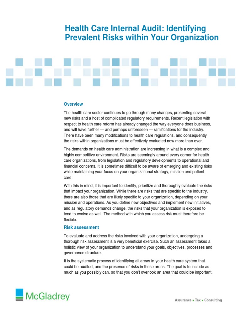 Health Care Internal Audit PDF