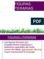 Figuras Literarias CAE