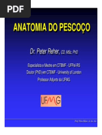 Anatomia Pescoço