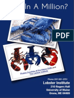 Lobster Institute Colors Guide