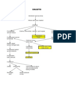 Sinusitis Diagram