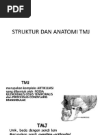 Download Struktur Dan Anatomi Tmj by WellyAnggarani SN237812029 doc pdf