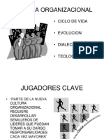 Cultura Organizacional