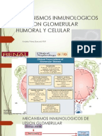 Mecanismos de Lesion Glomerular