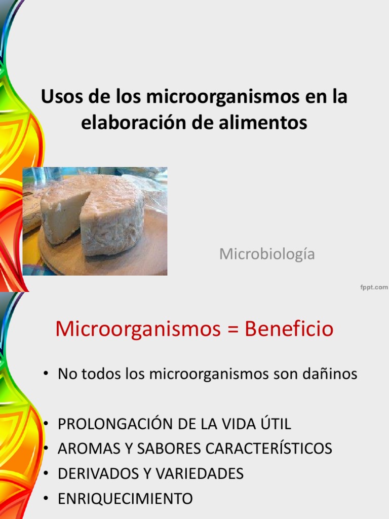 Usos de microorganismos en alimentos | PDF | Levadura | Fermentación
