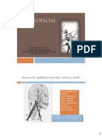 Maxilofacial Clase 3