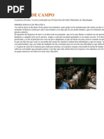 Diario de Campo