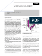 Anatomia Colon