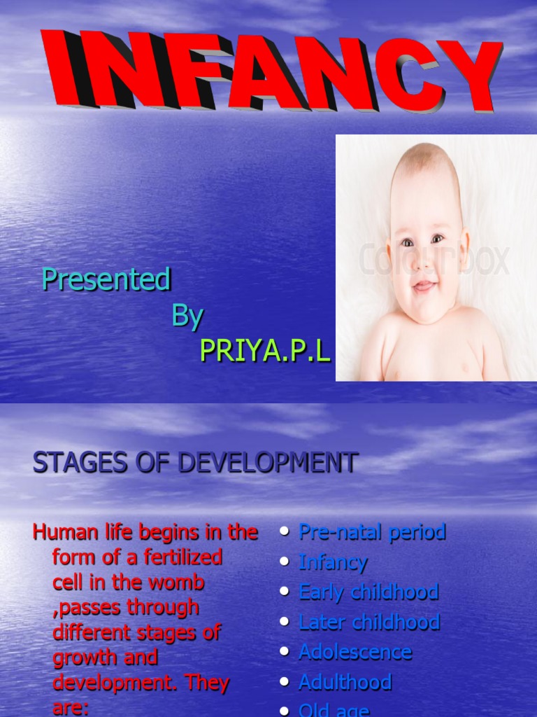 Stages of Human Development Explained | PDF