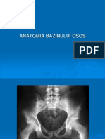 Anatomia Bazinului Osos