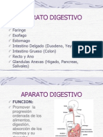 anatom APARATO DIGESTIVO.ppt