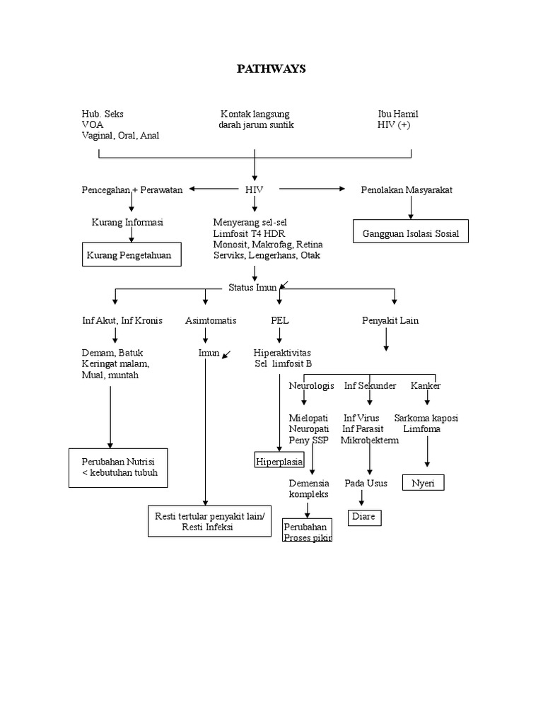 Pathways For Hiv Prevention And Treatment Pdf