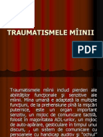 TRAUMATISMELE M++äINII - MASTER VI PP