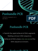 Panhandle PCR: PEDROSO, Merebeth Ann V. BIO198/A1