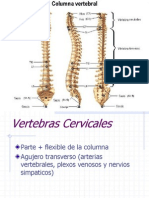 columna.ppt