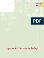 08 Impactos Ambientales en Bod