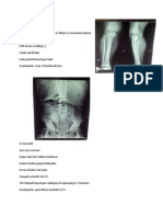 RI2 Radiologi