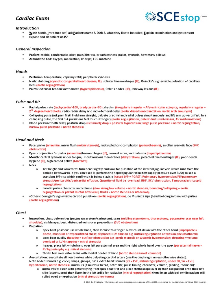 Cardiac Exam Pulse Cardiology